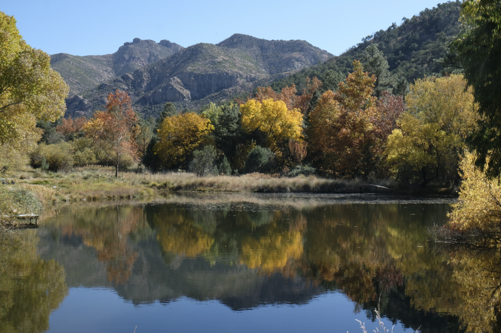 landscape lake arizona